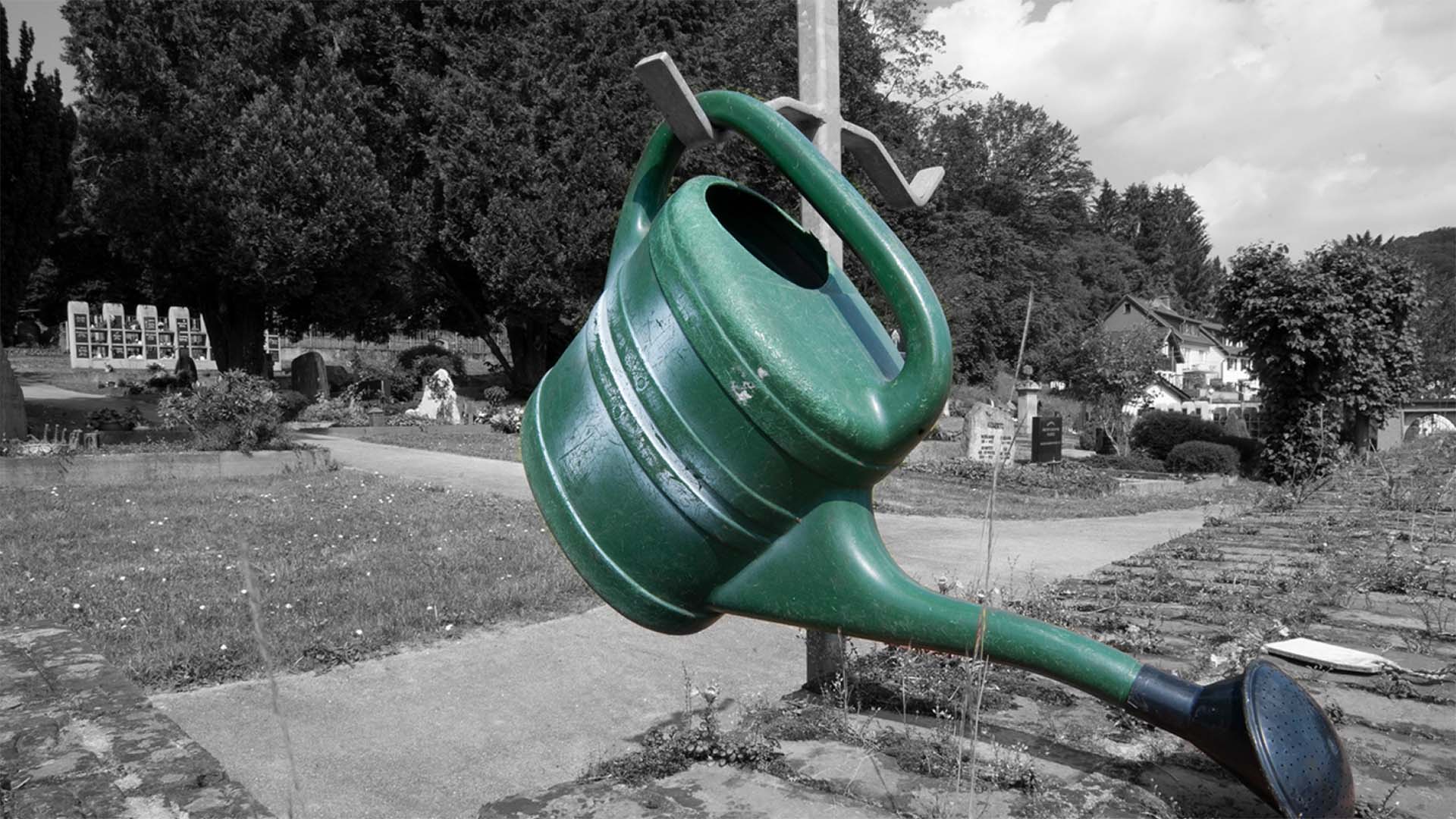 Auf dem Friedhof von Oberwinter - Bild: Dan Hummel