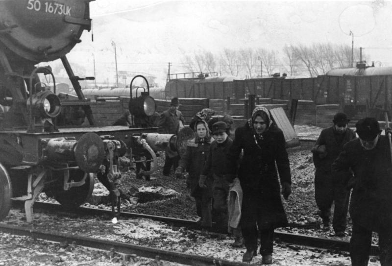 Kohlenklau im Rheinland, Winter 1946/47 (Bild: Bundesarchiv, Bild 183-R70463 / CC-BY-SA)