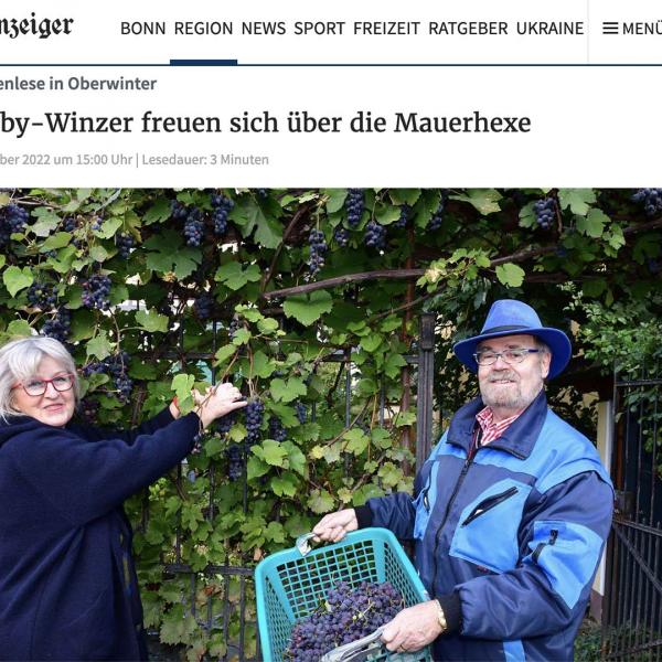 Hobby-Winzer freuen sich über die Mauerhexe